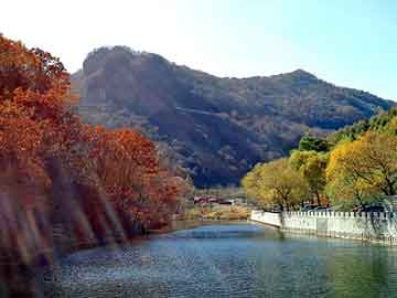 管家婆免费正版资起大全，神马泛目录